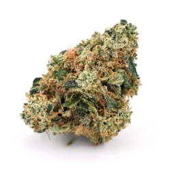 Candy Kush THCX