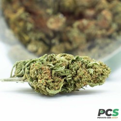 Fleurs CBD K1 Tsunami GreenHouse