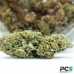 Fleurs CBD Pink Lady GreenHouse - Big Bud