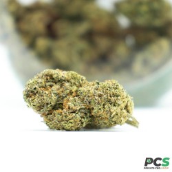 Fleurs CBD White Gelato indoor