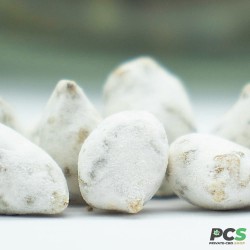 Ice Rock 86% CBD