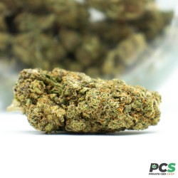 Small Bud Amnesia Green House 19% CBD