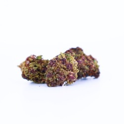 Small Bud Purple Haze Indoor 23%CBD