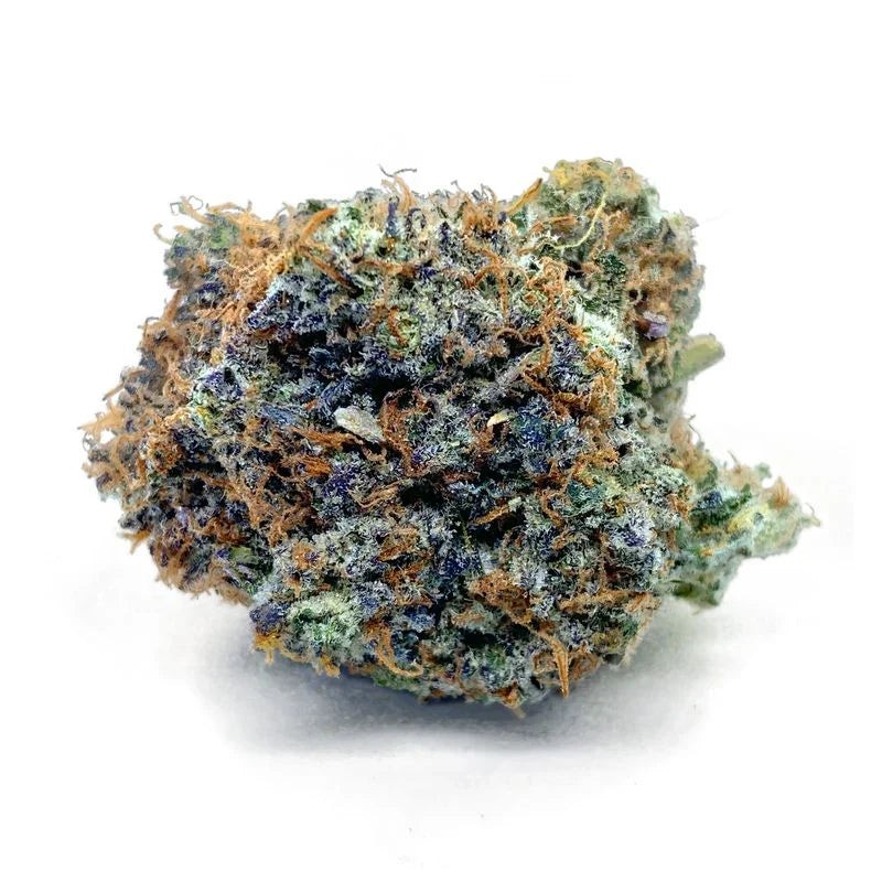 Super Amnesia THCX