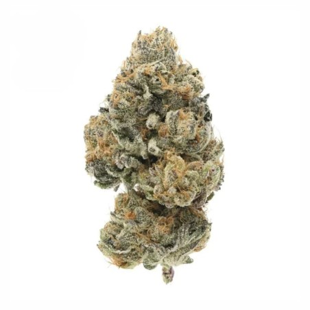OG Kush THCX