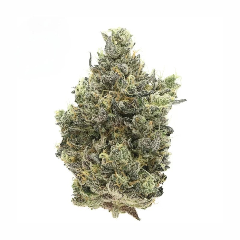 White Widow THCX